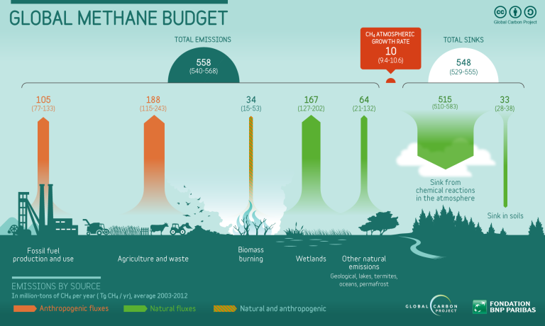 Figure showing the global methane budget.