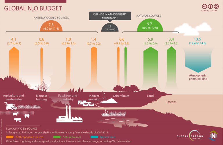 globaln2obudget.png