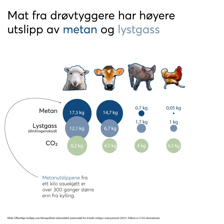 Mat fra drøvtyggere har høyere utslipp av metan og lystgass