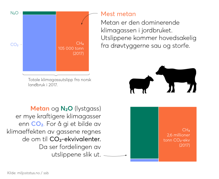 Mest metan: Metan er den domunerende klimagassen i jordbruket. Utslippene kommer hovedsakelig fra drøvtyggerne sau og storfe. Metan og N2O (lystgass) er mye kraftigere klimagasser enn co₂. For å gi et bilde av klimaeffekten av gassene regnes de om til co₂-ekvivalener.