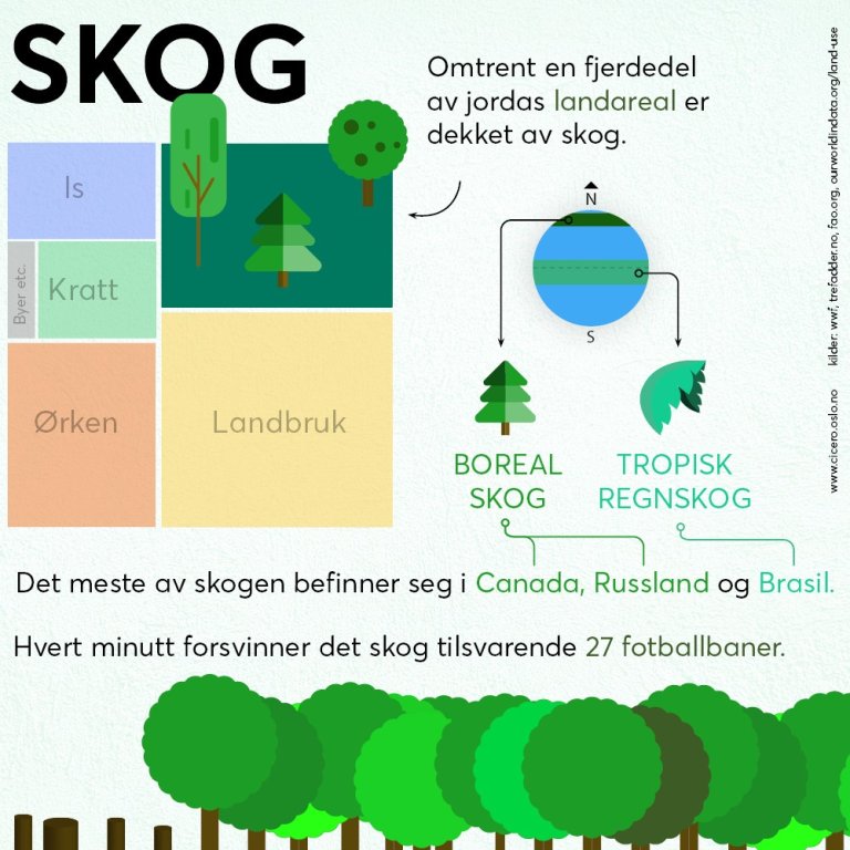 skoggrafikk.jpg